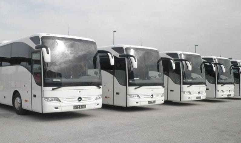 Malta region: Bus company in Naxxar in Naxxar and Malta