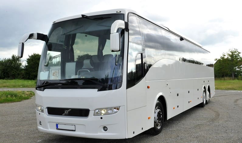 Italy: Buses agency in Calabria in Calabria and Reggio Calabria