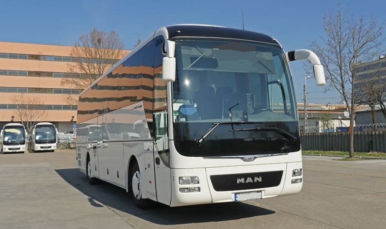 Malta region: Buses operator in Paola (Raħal Ġdid) in Paola (Raħal Ġdid) and Malta